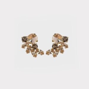 Earrings new